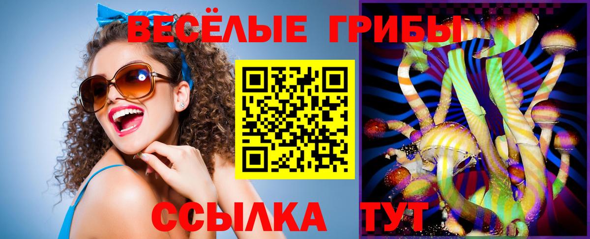 Галлюциногенные грибы Psilocybe  Вход с VPN  купить  сайты  Южноуральск  Псилоцибиновые грибы GOLDEN TEACHER 