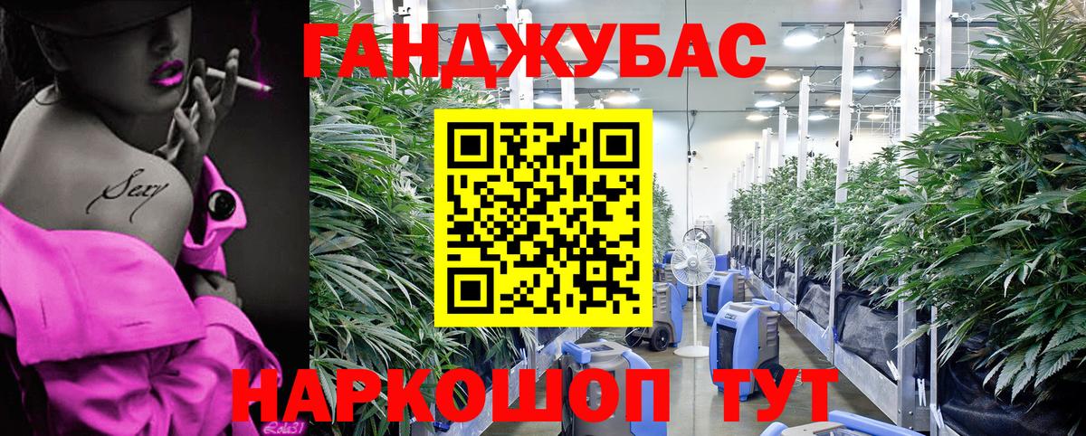 Конопля марихуана  Бошки Шишки планчик  Южноуральск  Вход с VPN  Бошки Шишки планчик 